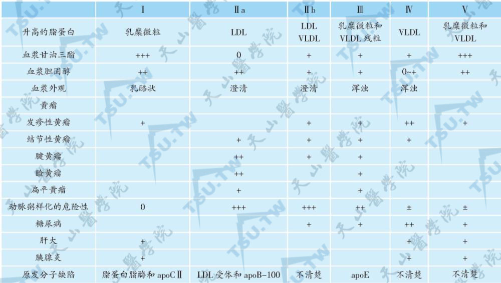 血装脂蛋白表型的主要特征