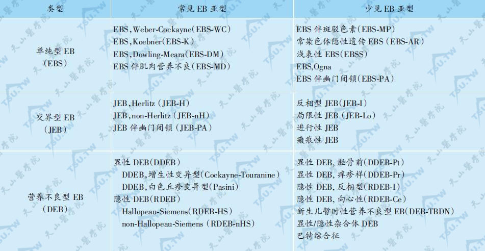 常见及少见的EB类型及亚型