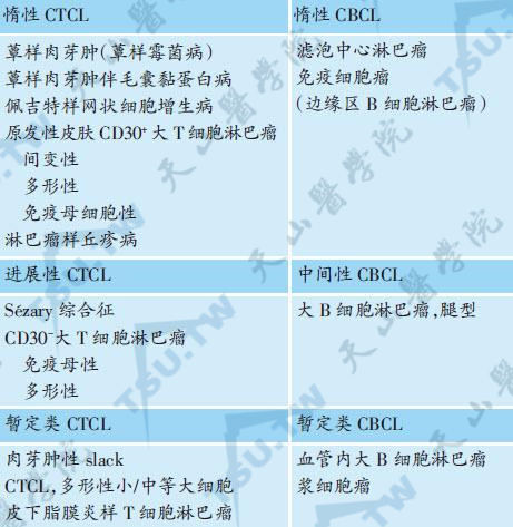 原发性皮肤T细胞淋巴瘤分类（EORTC）