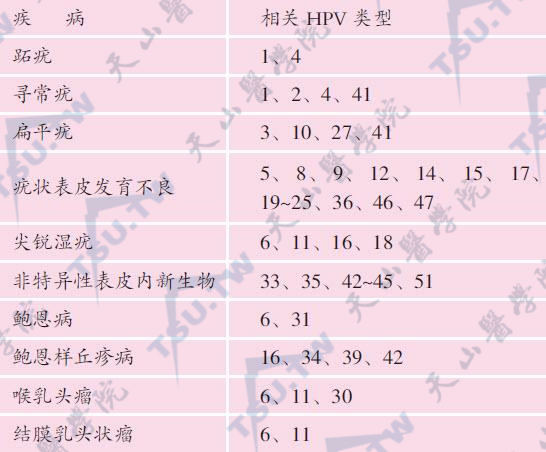 HPV类型与各种疾病的关系