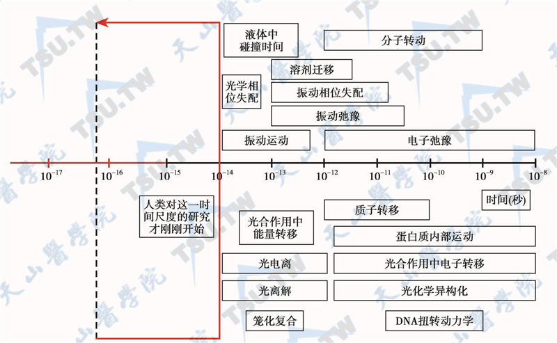 一些物理、化学和生物超快现象的特征时间范围