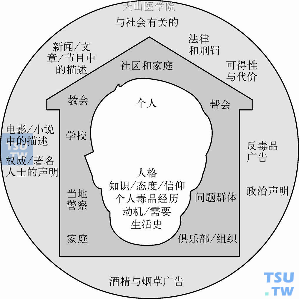 比较与结论：吸毒的社会成因是根源