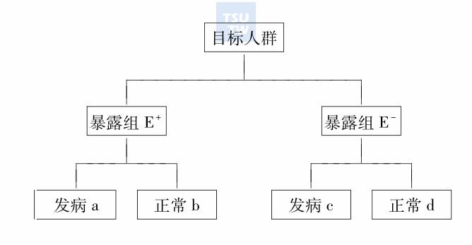  队列研究基本设计原理简要示意图