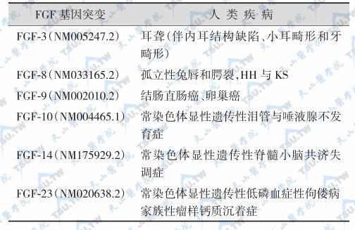 FGF突变所致的人类疾病