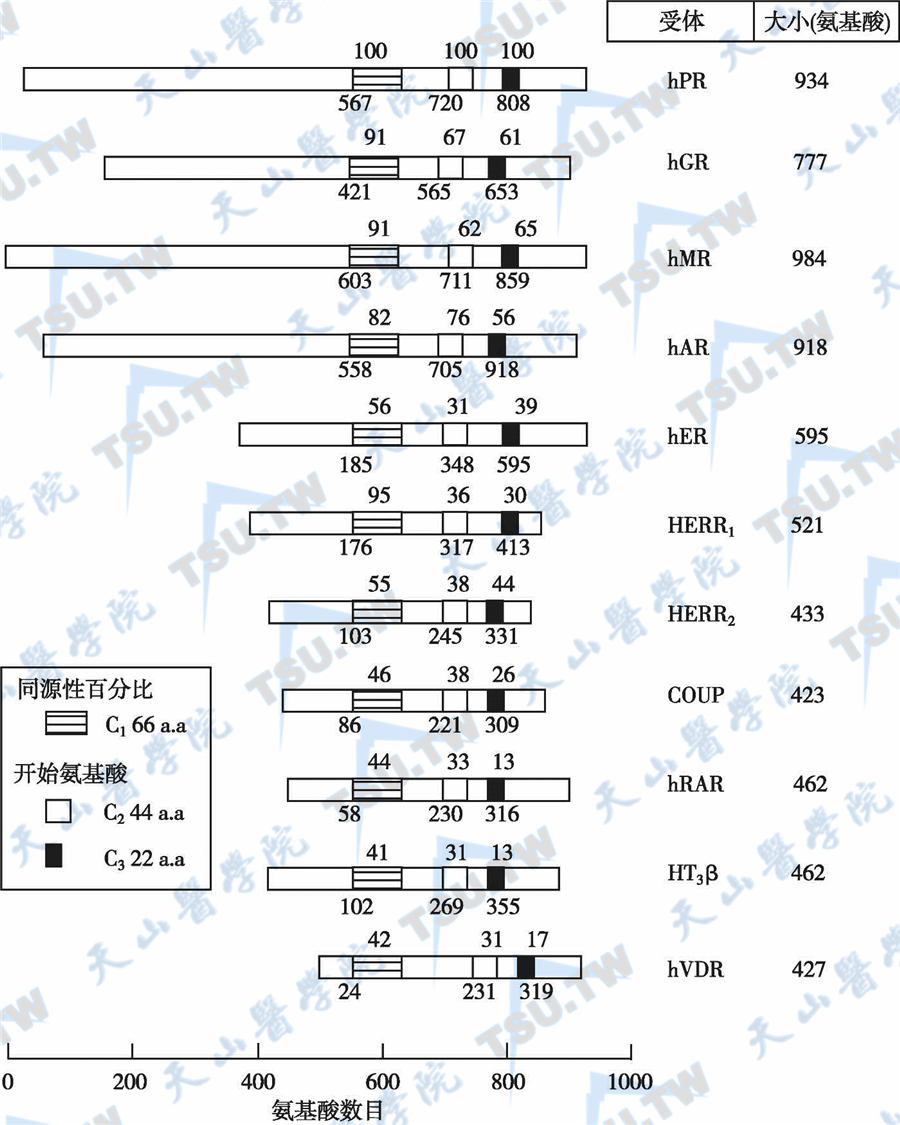 主要作用于转录调节因子的激素作用机制