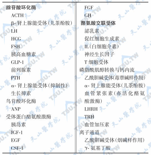 膜受体/效应体类型