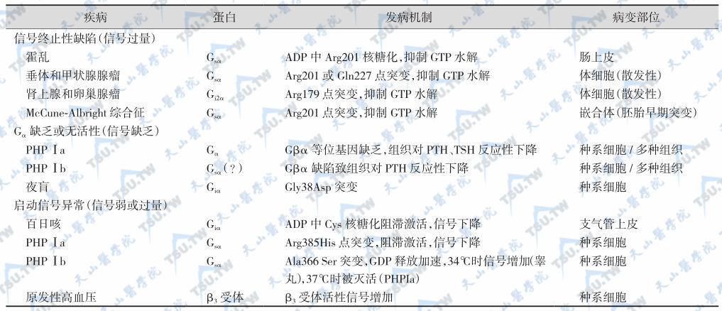 G蛋白生成或功能异常性疾病