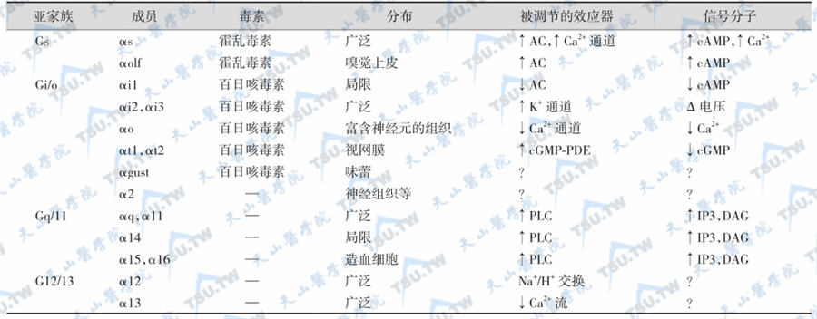 Gα亚基的分类