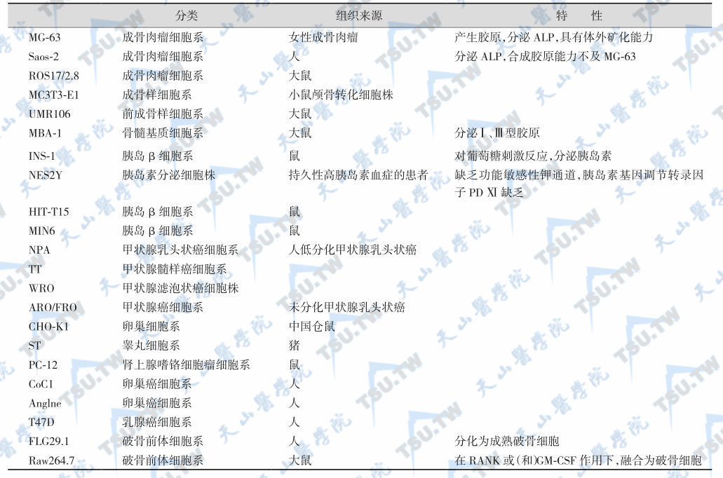 部分内分泌常用细胞系