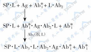 配体抗体桥式法反应式