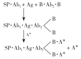 生物素-亲和素法反应式