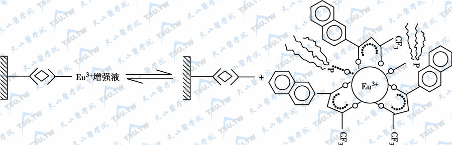 Eu3+螯合剂荧光生成示意图