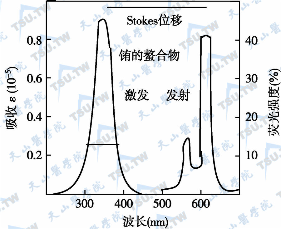 Eu3+荧光激发光谱与发射光谱