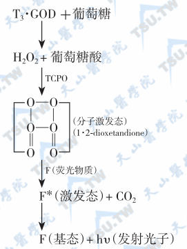 化学发光酶免疫分析使检测灵敏度显著提高