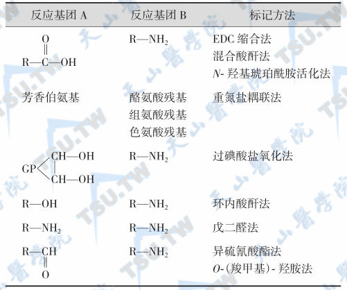 发光标记物与标记方法