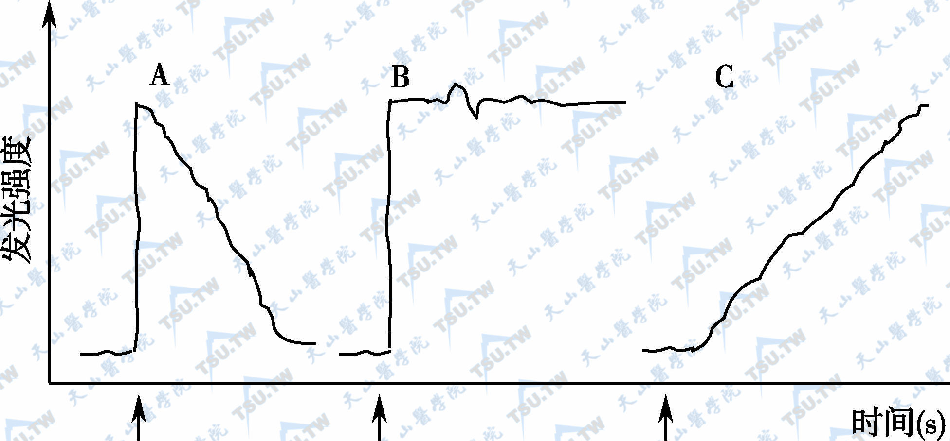 发光强度与反应时间的关系