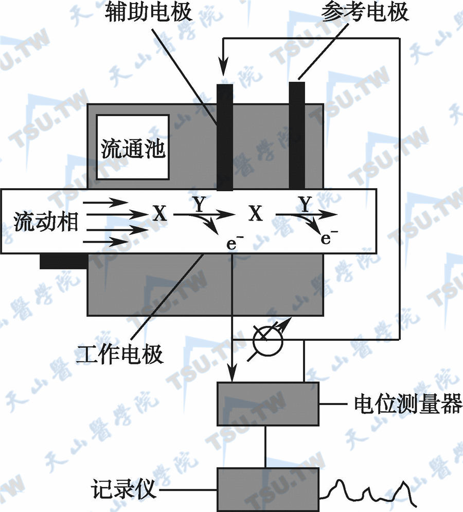 电化学检测器结构示意图