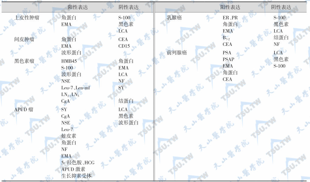 内分泌细胞（或肿瘤）的免疫组化诊断抗体