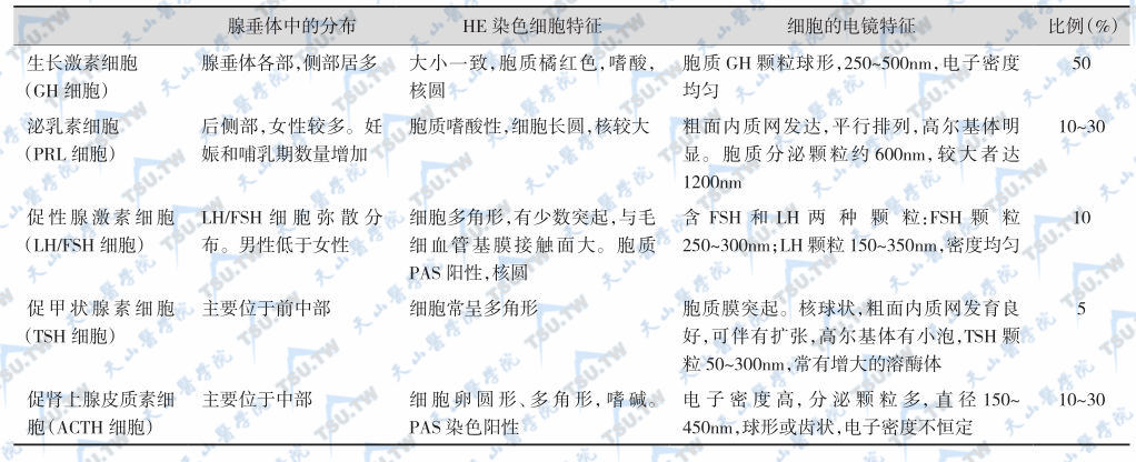 腺垂体细胞分类与特征