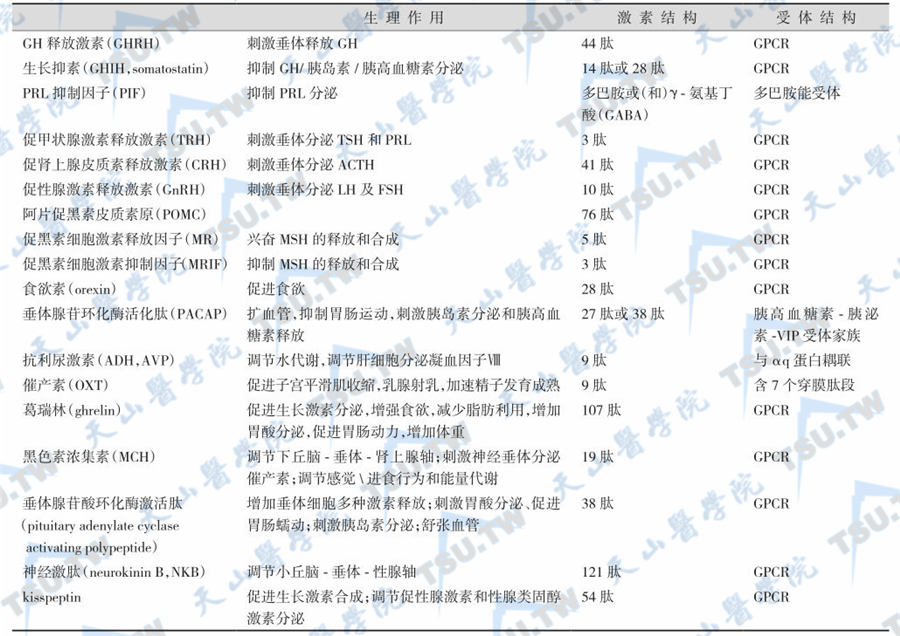 下丘脑分泌的促/抑垂体激素