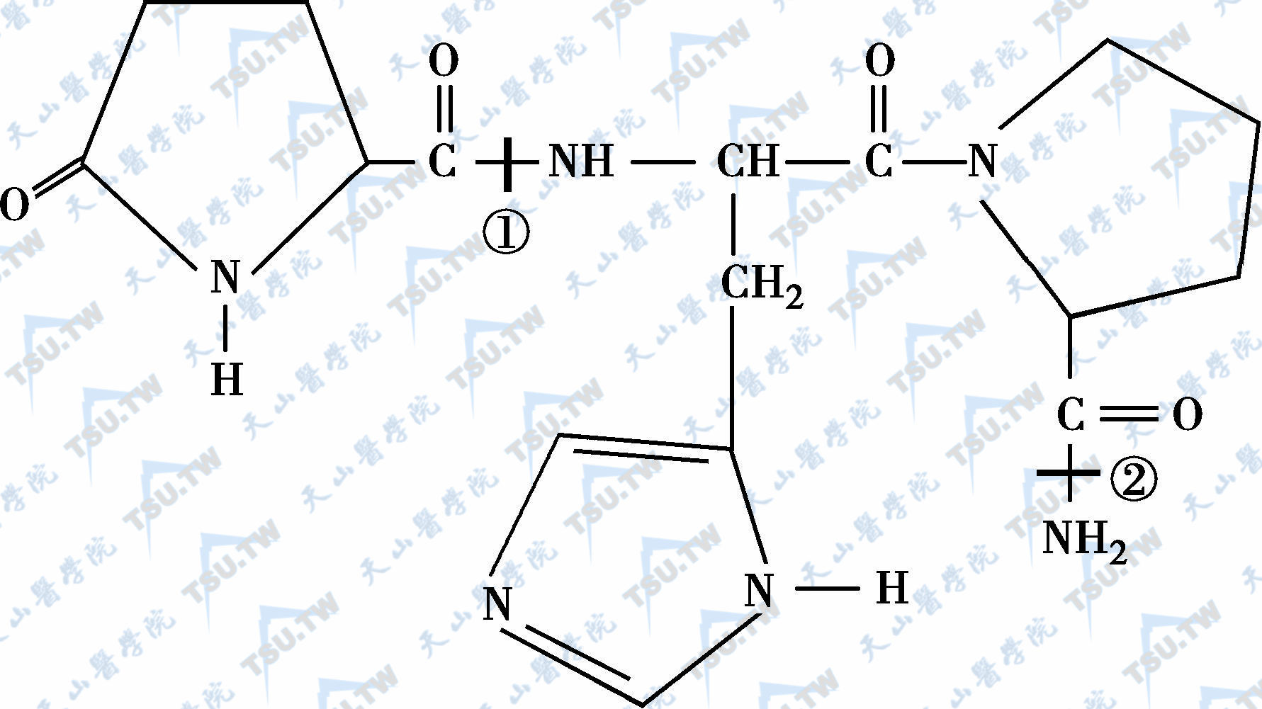 TRH的分子结构