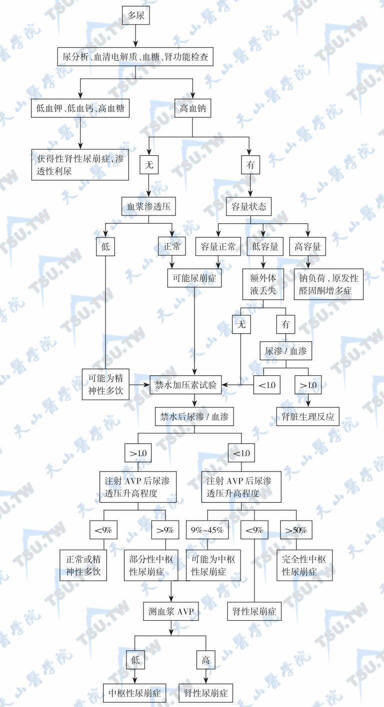 尿崩症的诊断程序