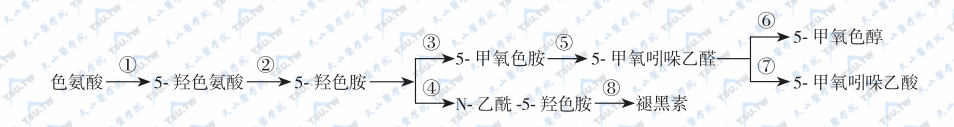 松果体褪黑素的生物合成