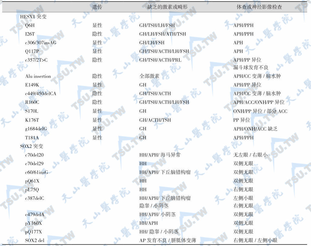 HESX1与SOX2 突变引起的垂体功能异常