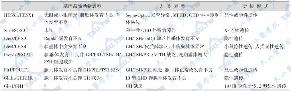 生长激素缺乏症相关基因