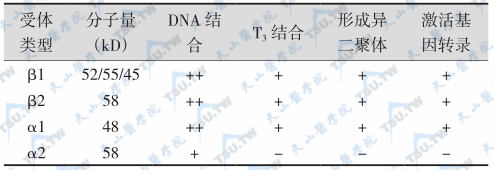 T3受体亚型及其性质