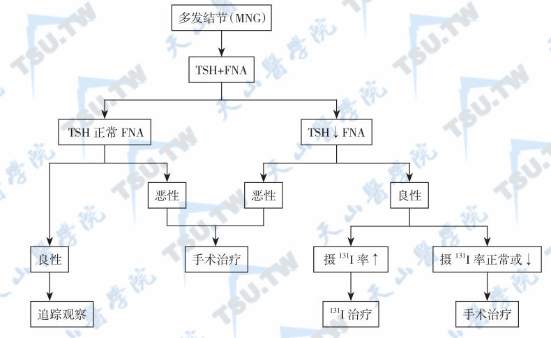  多发性甲状腺结节的诊断程序和处理方法