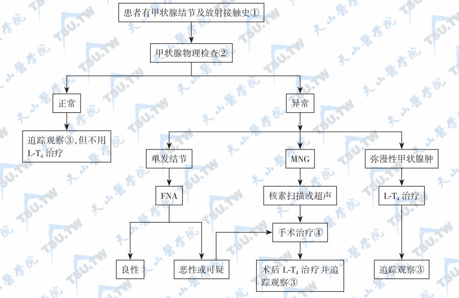  放射性甲状腺结节的诊断程序和处理原则