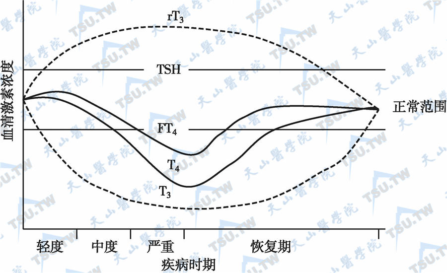  非甲状腺性重症疾病的血清甲状腺激素与血清TSH的变化