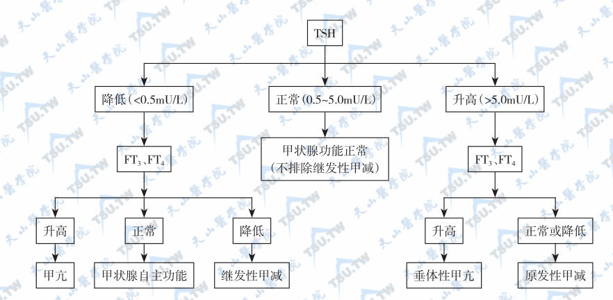  以TSH为基准的甲状腺疾病诊断程序