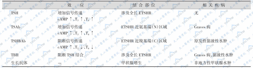 TSH受体与配基的结合部位及其相关疾病