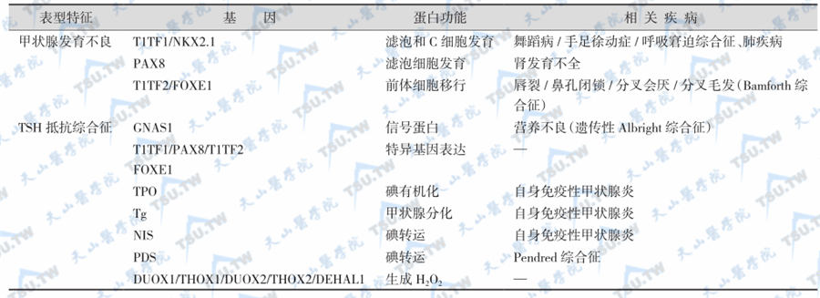 先天性甲状腺疾病的遗传病因