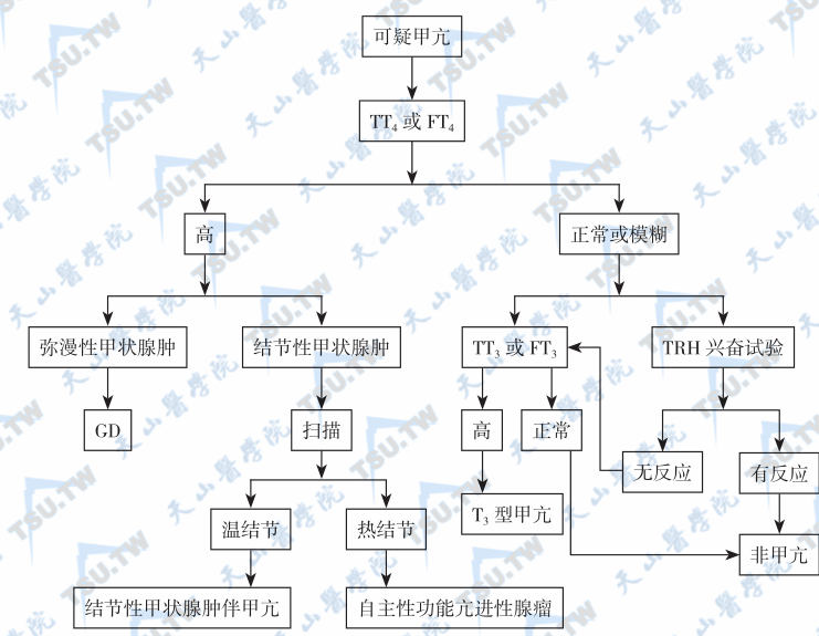  甲亢的病因鉴别和诊断程序