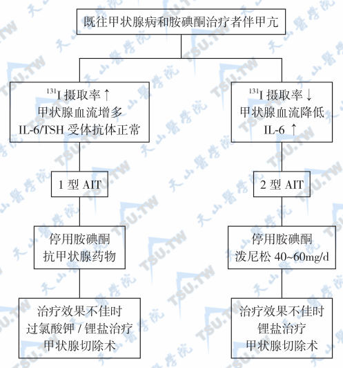 胺碘酮所致甲亢的类型鉴别与处理