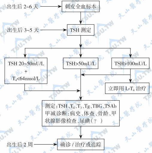  新生儿甲减的筛查流程和方法