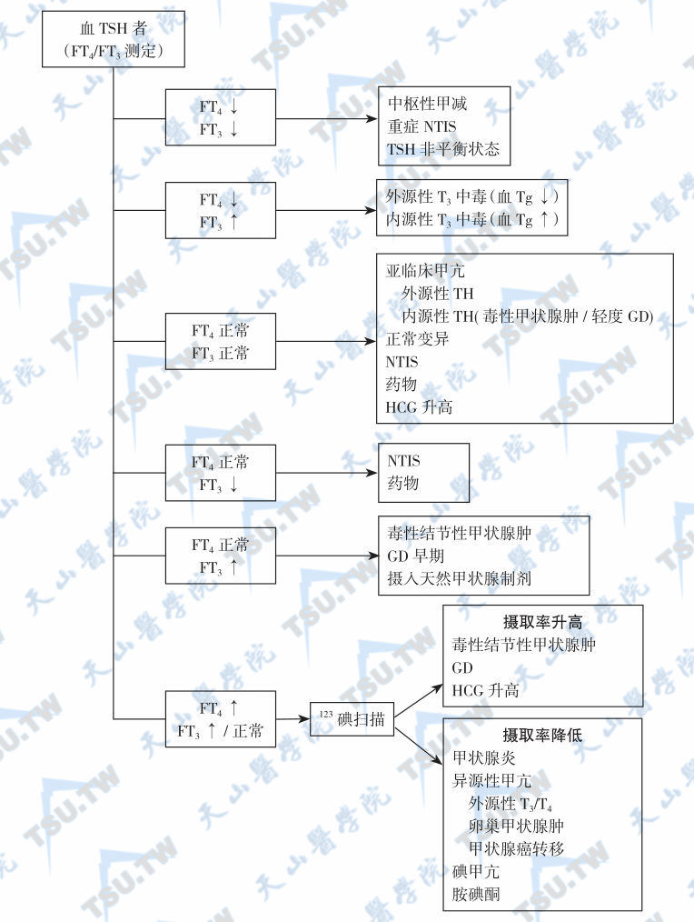  血清TSH降低的鉴别诊断