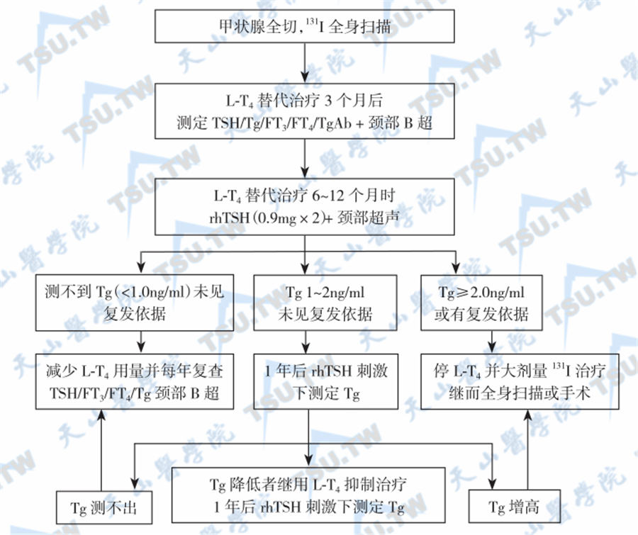 甲状腺恶性肿瘤术后的激素抑制治疗和病情追踪