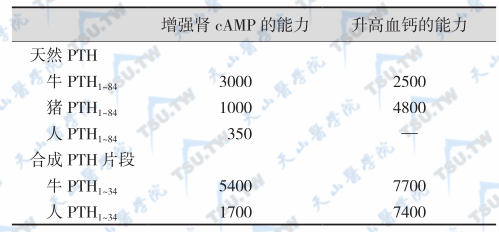 不同种属甲状旁腺素的生物活性（U/mg）比较