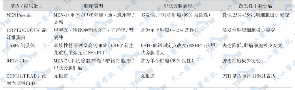 与原发性甲旁亢及其相关综合征的致病基因