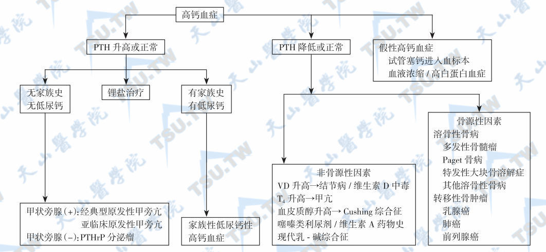 甲状旁腺功能亢进的诊断依据