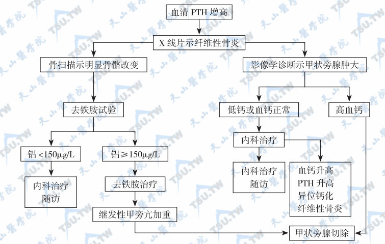 继发性甲旁亢怎么治？几种治疗方法总结