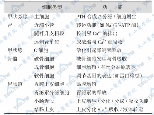 钙受体的分布及功能