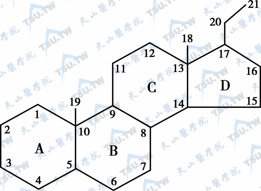  肾上腺皮质类固醇激素的基本结构和碳原子命名