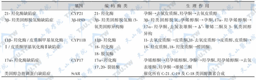 肾上腺皮质激素合酶及其生理作用与相关疾病