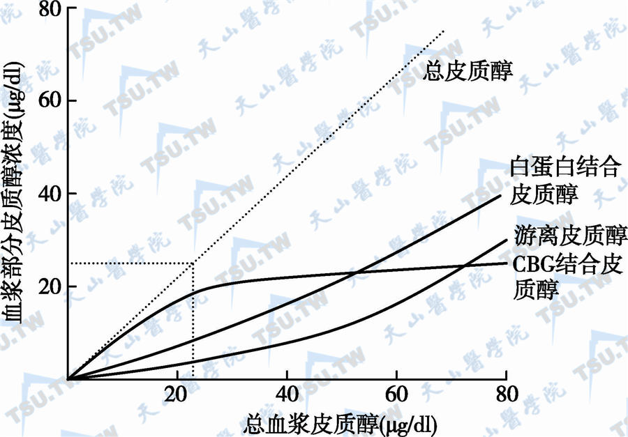 肾上腺激素之：肾上腺糖皮质激素解读