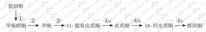  醛固酮的生物合成途径